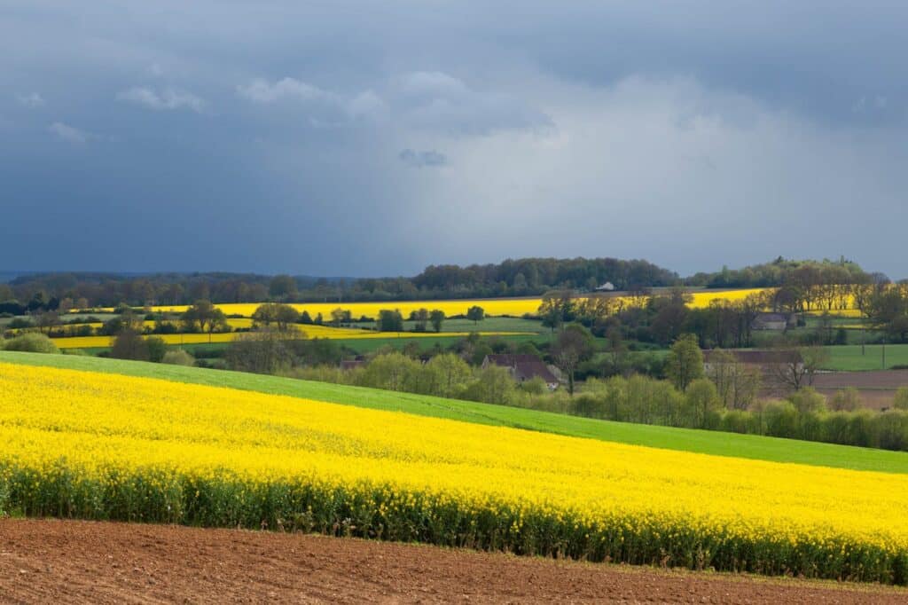 paysage du perche